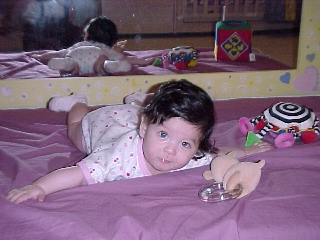 click for larger image