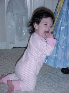 click for larger image