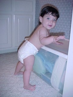 click for larger image