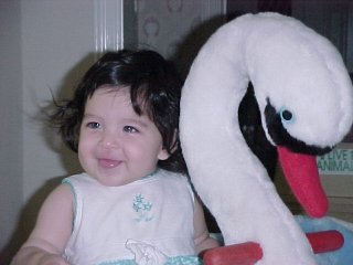 click for larger image