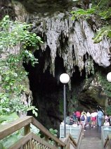 click for larger image