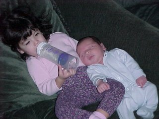 click for larger image