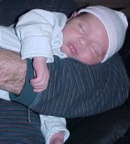 click for larger image