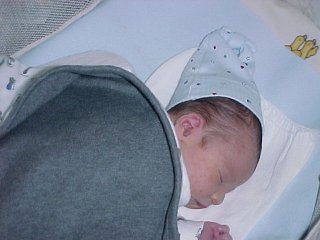 click for larger image